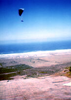 La Salina-Tijuana Chip soars.jpg (47304 bytes)