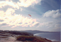 Solitary glider over the dunes (20314 bytes)